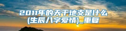 2011年的天干地支是什么(生辰八字爱情)_重复