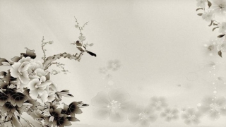 白蜡金命人最吉利的方位(六十甲子纳音剖析)