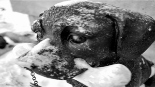 连续几天梦到前男友(梦见前男友结婚了)