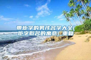 带炬字的男孩名字大全(炬字取名的寓意)_重复