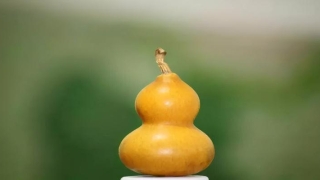 道家都会算卦吗(文玩半壁出道教)