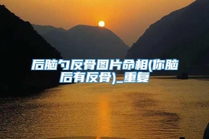 后脑勺反骨图片命相(你脑后有反骨)_重复