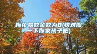梅花易数余数为8(快对照一下你家孩子吧)