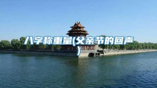 八字称重量(父亲节的回声)