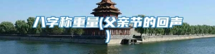 八字称重量(父亲节的回声)