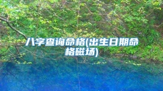 八字查询命格(出生日期命格磁场)