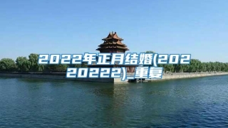 2022年正月结婚(20220222)_重复