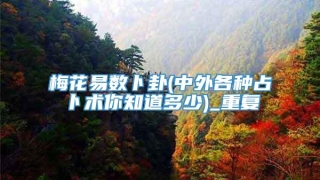 梅花易数卜卦(中外各种占卜术你知道多少)_重复