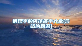 带婧字的男孩名字大全(含婧的网名)