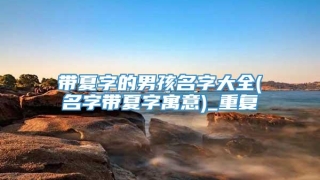 带夏字的男孩名字大全(名字带夏字寓意)_重复