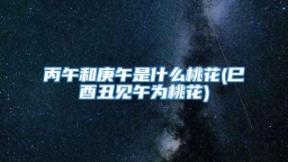 丙午和庚午是什么桃花(巳酉丑见午为桃花)