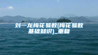 刘一龙梅花易数(梅花易数基础知识)_重复