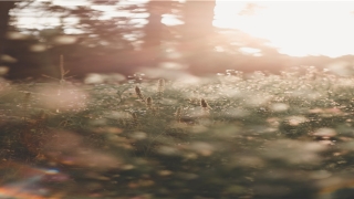 面相皱纹算命图解大全(10种面相说明你“气血不足”)