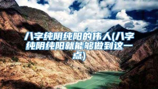 八字纯阴纯阳的伟人(八字纯阴纯阳就能够做到这一点)