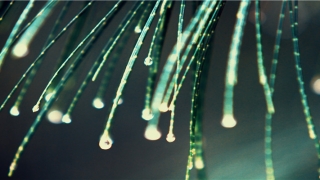 84年属鼠的适合工作(属鼠84岁是哪年生人)