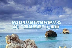 2004年2月19日是什么命(“想念露露”)_重复