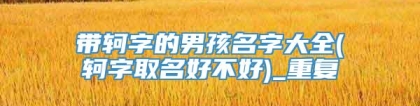 带轲字的男孩名字大全(轲字取名好不好)_重复