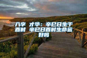 八字 才华：辛巳日生于酉时 辛巳日酉时生命运好吗