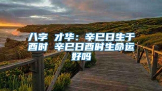 八字 才华：辛巳日生于酉时 辛巳日酉时生命运好吗