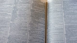 陈姓女孩起名(陈国起名大全)