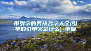 带引字的男孩名字大全(引字的引申义是什么)_重复