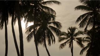 表示我很菜的名字(八宝饭名字的来历)