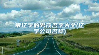 带亿字的男孩名字大全(亿字公司名称)