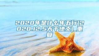 2020年是什么年五行(2020.12.5天干地支)_重复