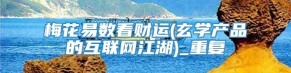 梅花易数看财运(玄学产品的互联网江湖)_重复