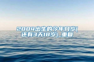 2004出生的今年几岁(还有3天18岁)_重复