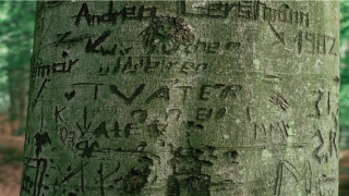 脸上长痣位置解说图(脸上长这7颗痣)