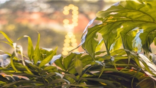 比肩坐劫财是什么意思(生克制化与对应之事物)