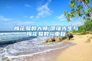 梅花易数大师(邵雍先生与梅花易数)_重复