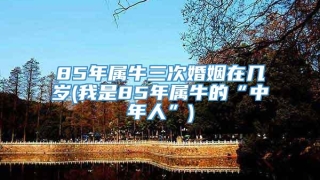 85年属牛三次婚姻在几岁(我是85年属牛的“中年人”)