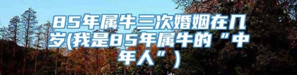 85年属牛三次婚姻在几岁(我是85年属牛的“中年人”)