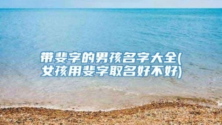 带斐字的男孩名字大全(女孩用斐字取名好不好)