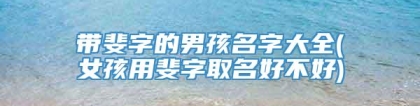 带斐字的男孩名字大全(女孩用斐字取名好不好)