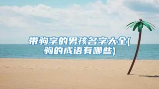 带驹字的男孩名字大全(驹的成语有哪些)