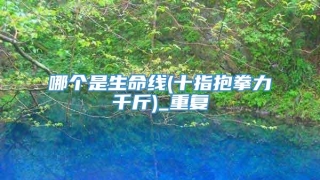 哪个是生命线(十指抱拳力千斤)_重复