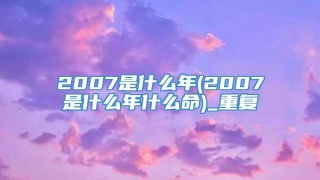 2007是什么年(2007是什么年什么命)_重复