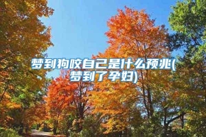 梦到狗咬自己是什么预兆(梦到了孕妇)