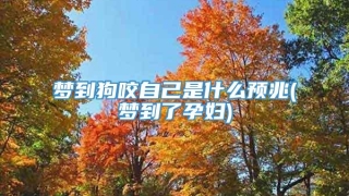 梦到狗咬自己是什么预兆(梦到了孕妇)