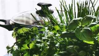 老人梦见小孩子是什么意思(最近做梦总梦见小孩子)