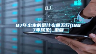 87年出生的是什么命五行(1987年属兔)_重复