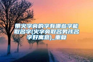 带火字旁的字有哪些字能取名字(火字旁取名男孩名字好寓意)_重复