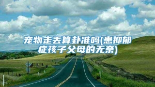 宠物走丢算卦准吗(患抑郁症孩子父母的无奈)