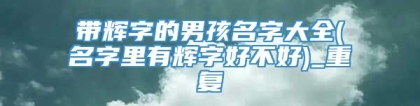 带辉字的男孩名字大全(名字里有辉字好不好)_重复