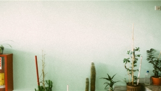 戴貔貅有什么讲究(貔貅是招财还是辟邪)