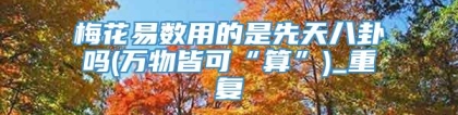 梅花易数用的是先天八卦吗(万物皆可“算”)_重复