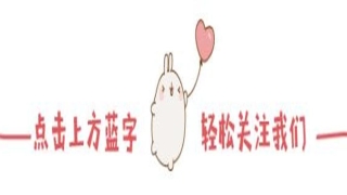 梅花有何寓意(梅花寓意什么)